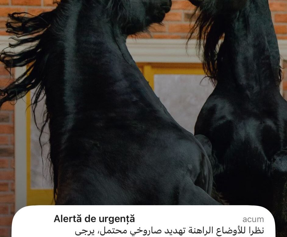 Speriaţi şi surprinşi într-un război străin, românii din Dubai i-au scris deputatului Adrian Cozma. Ce spune Ministerul de Externe