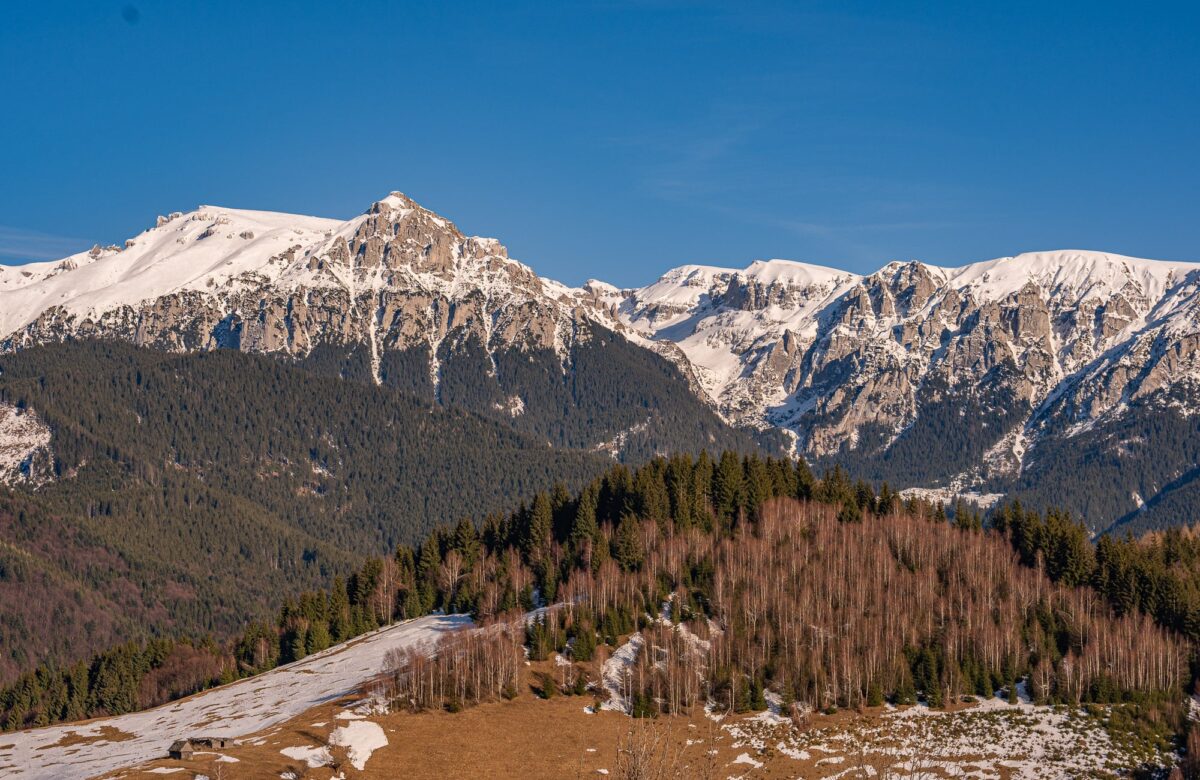 fotograful Mihai Moiceanu testează HONOR Magic8 Pro în natură