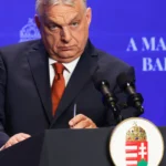 Ginerele lui Viktor Orban a câștigat o avere. A pariat pe înfrângerea fiostului premier al Ungariei • Newsweek România