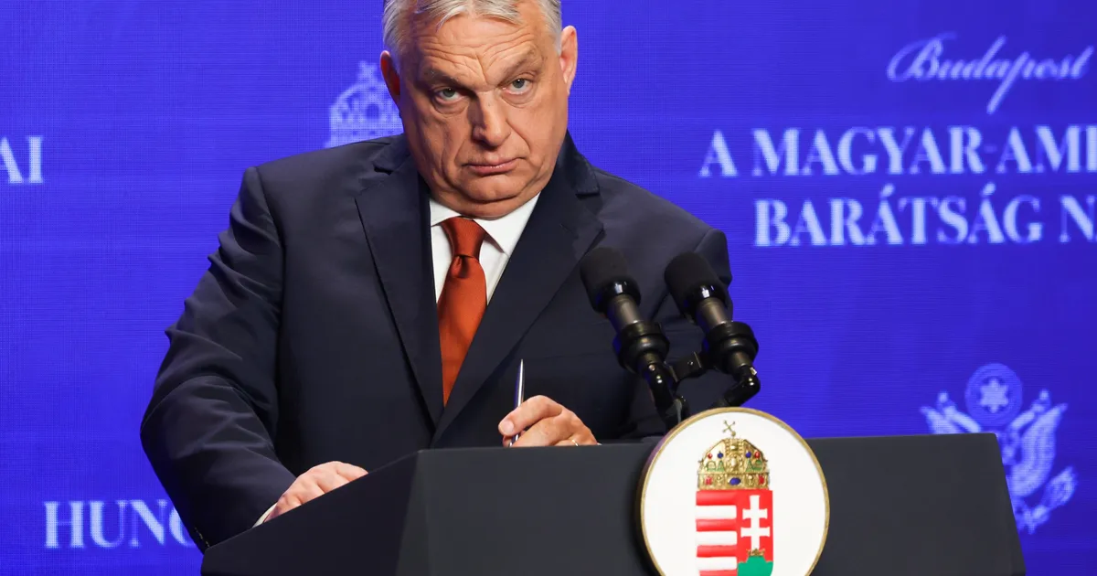 Ginerele lui Viktor Orban a câștigat o avere. A pariat pe înfrângerea fiostului premier al Ungariei • Newsweek România
