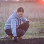 Locurile din grădină în care nu ar trebui să plantezi niciodată semințele de castraveți. Nu vor încolți • Newsweek România