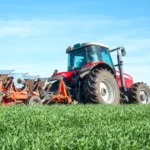 De ce nu e România încă o putere agricolă? „Culturile arată bine, dar fermierii au dificultăți să se descurce • Newsweek România