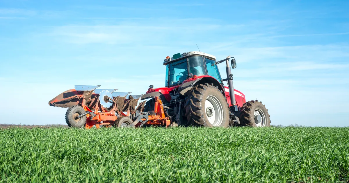 De ce nu e România încă o putere agricolă? „Culturile arată bine, dar fermierii au dificultăți să se descurce • Newsweek România