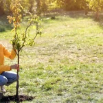 Ce copaci să plantezi în curtea casei conform Feng Shui. Plantele vor atrage bani și fericire în casa ta • Newsweek România