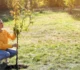 Ce copaci să plantezi în curtea casei conform Feng Shui. Plantele vor atrage bani și fericire în casa ta • Newsweek România