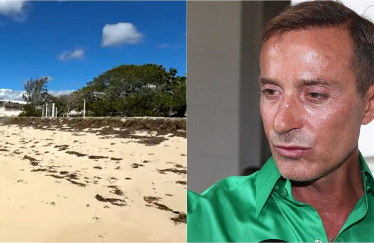 Radu Mazăre povestește cum și-a făcut complexul de bungalouri din Madagascar. Fiecare construcție are câte o șopârlă vie