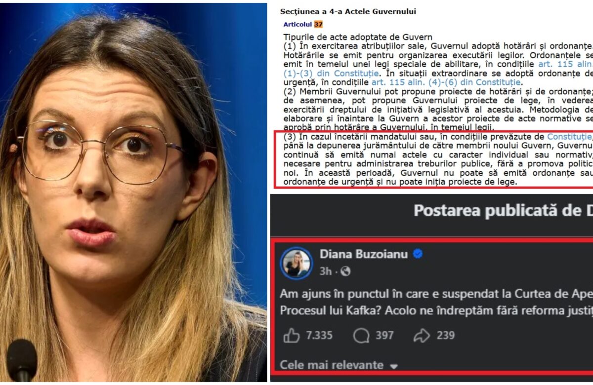 Dezinformare de la vârful Guvernului. Ministra Diana Buzoianu susține că judecătorii au suspendat un comunicat de presă. Decizia Tribunalului o contrazice