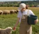 Măsuri obligatorii în vederea protejării animalelor pe timp de caniculă. Ce nu au voie crescătorii să facă • Newsweek România
