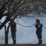 Un primar a fost arestat după un incendiu lângă Atena. 10.000 de hectare de pădure s-au făcut scrum • Newsweek România