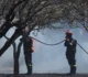 Un primar a fost arestat după un incendiu lângă Atena. 10.000 de hectare de pădure s-au făcut scrum • Newsweek România