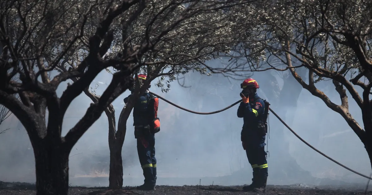 Un primar a fost arestat după un incendiu lângă Atena. 10.000 de hectare de pădure s-au făcut scrum • Newsweek România