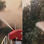 VIDEO Incendiu puternic în Delta Dunării. Focul amenință fondul forestier. Ce spune Raed Arafat? • Newsweek România