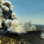 VIDEO Nou incendiu puternic de vegetație, într-o zonă de lângă Madrid în care trăiesc și mulți români • Newsweek România