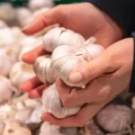 Când se plantează usturoiul de toamnă? Perioada ideală și diferențele față de usturoiul de primăvară • Newsweek România