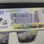 Investițiile din economia României au depășit 100 miliarde lei. Ce domenii au crescut? • Newsweek România