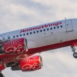 AnimaWings a cerut insolvența, iar zeci de curse sunt anulate. Ce pot face românii care s-au trezit cu zborul anulat și cum își pot salva vacanța. Explicațiile companiei aeriene