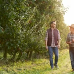 Ce tratamente trebuie să faci pentru pomii fructiferi în octombrie. Când se fac stropirile de toamnă • Newsweek România