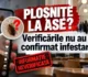 Val de informații neverificate despre presupusele ploșnițe de la ASE, amplificat pe TikTok • Newsweek România