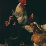 trucul simplu care ușurează curățenia zilnică • Newsweek România