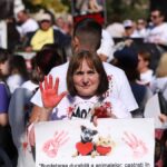 peste 70 de ONG-uri de protecție a animalelor ies în stradă să apere drepturile animalelor fără stăpân și sălbatice